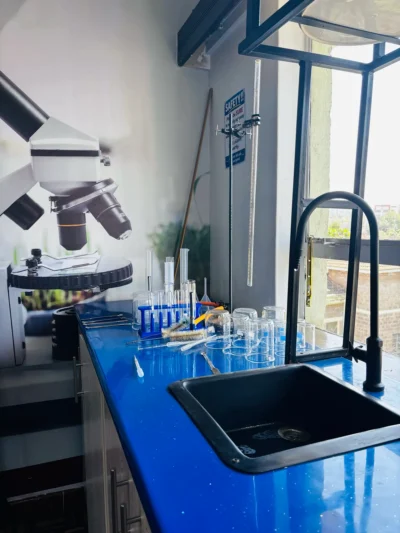 Black sink on a blue bench with test tubes in a rack, upturned beakers and a burette clamped near the window